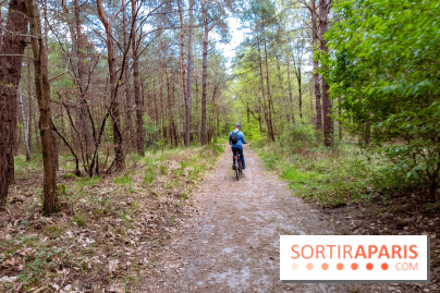 Liaisons douces à Fontainebleau : la forêt à vélo, les photos