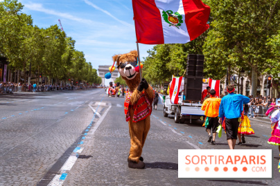 Carnaval Tropical 2026, les photos