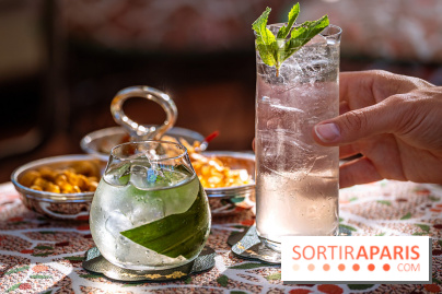 Le Rooftop du Fouquet's, bar à cocktail et cuisine fusion japonaise - photos