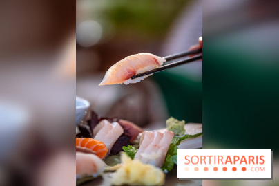 Le Rooftop du Fouquet's, bar à cocktail et cuisine fusion japonaise - photos