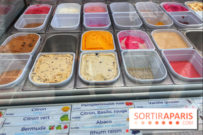 Glaces Martine Lambert