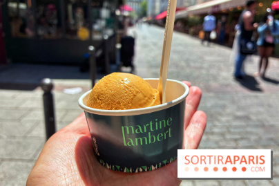 Glaces Martine Lambert