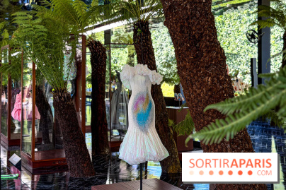 Exposition/Scénographie du défilé Dior Haute Couture Automne-Hiver 2026-2027 au Musée Rodin