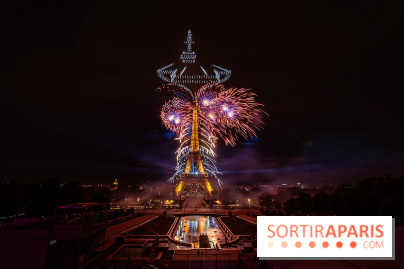 Le feux d'artifice de Paris 2026, les photos du spectacle