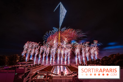 Le feux d'artifice de Paris 2026, les photos du spectacle
