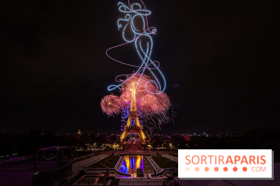 Le feux d'artifice de Paris 2026, les photos du spectacle