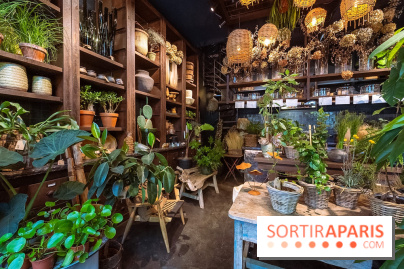 Mégie, la cantine botanique, boutique et atelier floral - photos