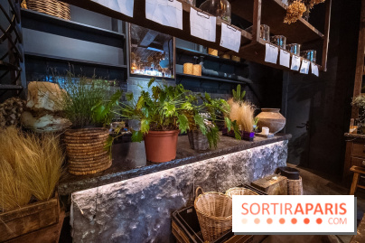 Mégie, la cantine botanique, boutique et atelier floral - photos