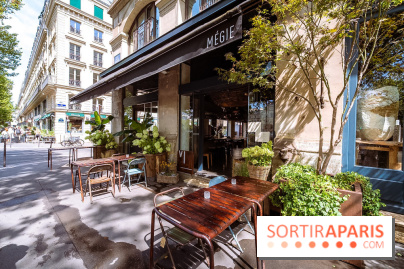 Mégie, la cantine botanique, boutique et atelier floral - photos