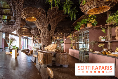 Mégie, la cantine botanique, boutique et atelier floral - photos