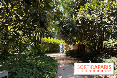 Le Jardin Claire Motte, square secret dans le 17e arrondissement