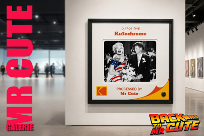 BACK TO MR CUTE : Goldorak, Candy, Marilyn, DaftPunk, Brett Sinclair… Cette galerie éphémère va faire craquer tous les amoureux de pop culture, mais elle ne sera visible que quelques semaines...