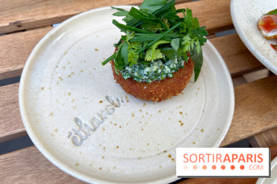 Ethanol - Croquettes de rillettes
