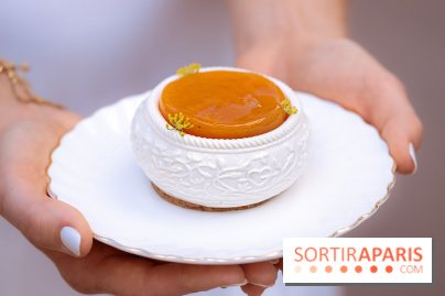Pleincœur, les pâtisseries de la rentrée 2026, Panier Abricot