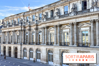 Visuels Conseil Constitutionnel