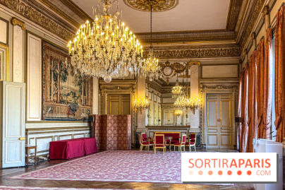 Visuels Conseil Constitutionnel