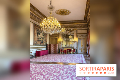 Visuels Conseil Constitutionnel
