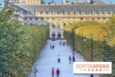 Visuels Conseil Constitutionnel
