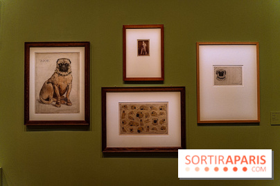 Exposition Eva Gonzalès au Petit Palais, les photos