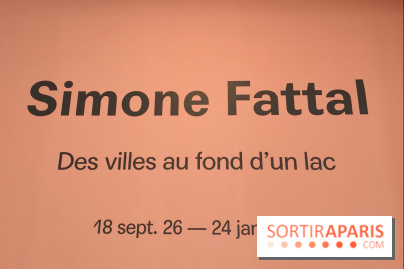 Exposition Simone Fattal au MAM Paris : mythes, exil et villes englouties
