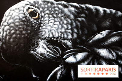 Festival de street art d'Antony 2026, nos photos