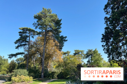Le Jardin du Pré Catelan, un jardin dans le bois de Boulogne