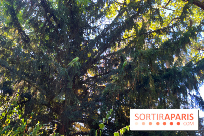 Le Jardin du Pré Catelan, un jardin dans le bois de Boulogne