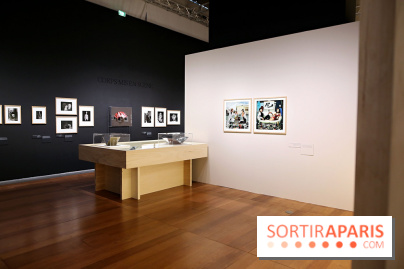 Photographies japonaises de la BnF - nos photos de l'exposition