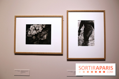 Photographies japonaises de la BnF - nos photos de l'exposition