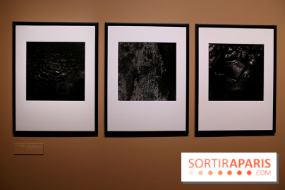 Photographies japonaises de la BnF - nos photos de l'exposition