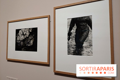 Photographies japonaises de la BnF - nos photos de l'exposition