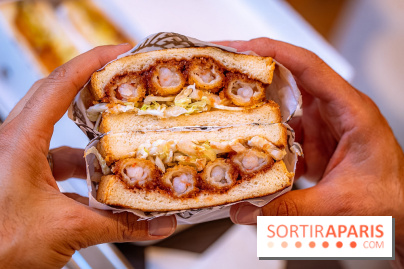 Sheesh par Danny Khezzar, le resto de  sandos à Paris - photos