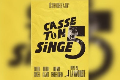 Casse Ton Singe ! #5