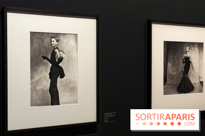 Irving Penn