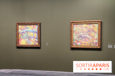 Monet, peindre le temps : l'exposition événement au musée de l’Orangerie