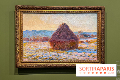 Monet, peindre le temps : l'exposition événement au musée de l’Orangerie
