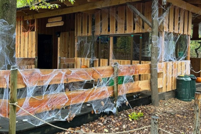 Halloween 2026 à Aventure Floreval (91) : labyrinthe hanté et accrobranche nocturne en forêt
