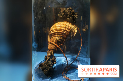 L'appel des profondeurs : partez en exploration avec l'exposition du Musée national de la Marine
