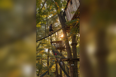 Halloween 2026 : la Forêt de la Terreur à Sherwood Parc, le plus grand parc d’aventures de France