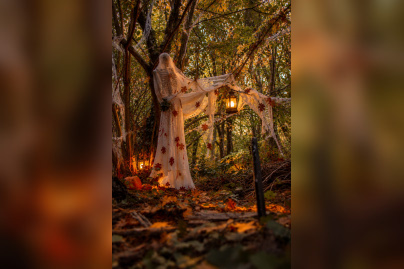 Halloween 2026 : la Forêt de la Terreur à Sherwood Parc, le plus grand parc d’aventures de France