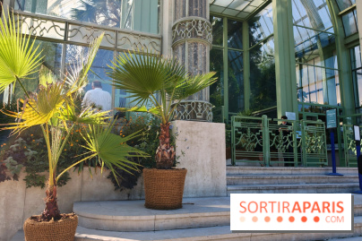 Automne tropical 2026