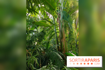 Automne tropical 2026