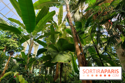 Automne tropical 2026