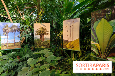 Automne tropical 2026