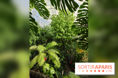 Automne tropical 2026