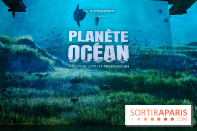 Plongez à la découverte de Planète Océan, l’exposition immersive de l’Atelier des Lumières