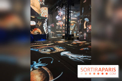 Plongez à la découverte de Planète Océan, l’exposition immersive de l’Atelier des Lumières