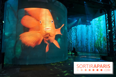 Plongez à la découverte de Planète Océan, l’exposition immersive de l’Atelier des Lumières
