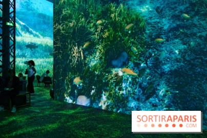 Plongez à la découverte de Planète Océan, l’exposition immersive de l’Atelier des Lumières