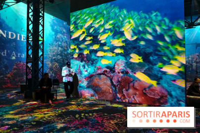 Plongez à la découverte de Planète Océan, l’exposition immersive de l’Atelier des Lumières